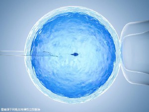 42岁PGT成功案例